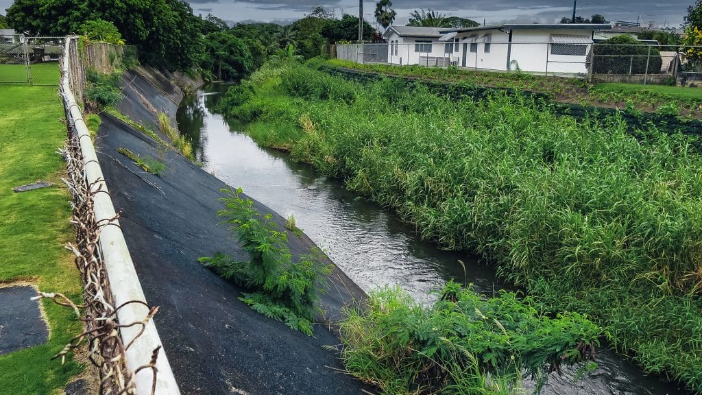 stream restoration companies
