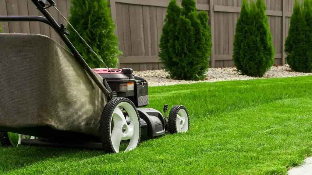 turf grass pupukea