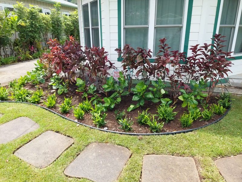 natural scapes landscaping