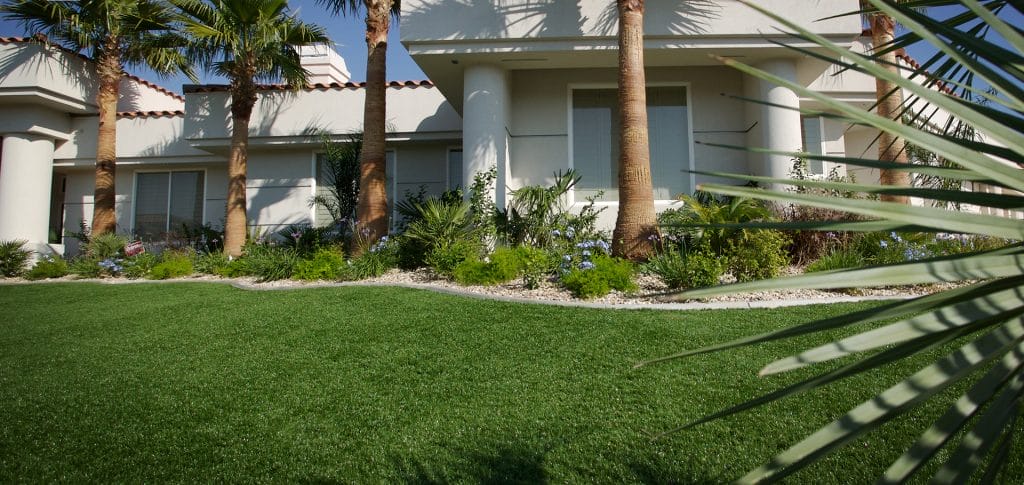turf grass wahiawa