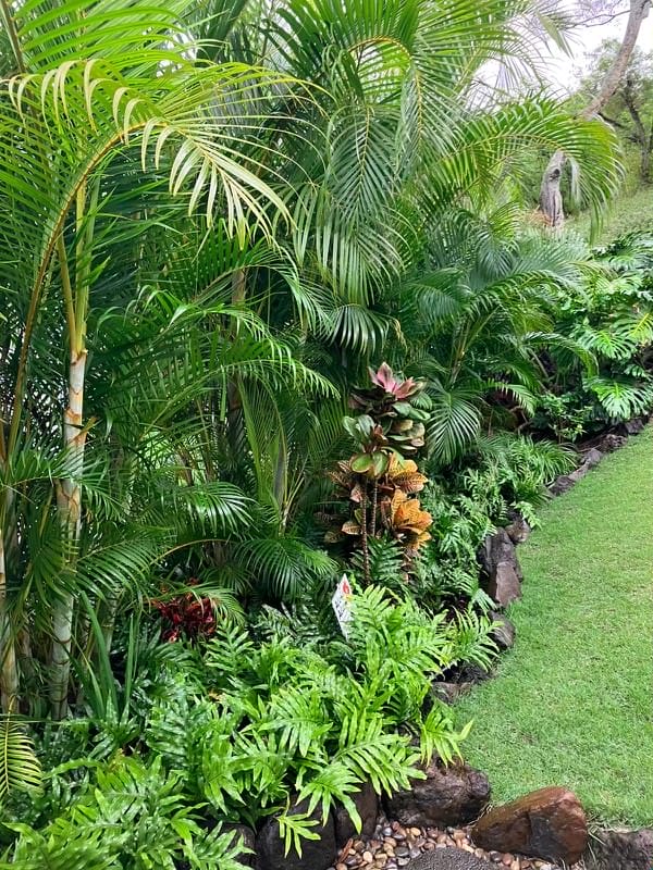 landscaping services honolulu hi