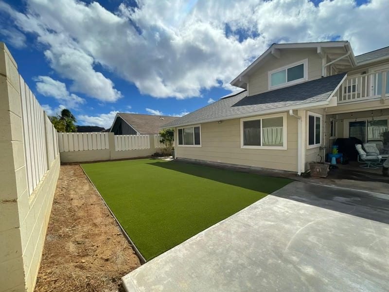 turf grass