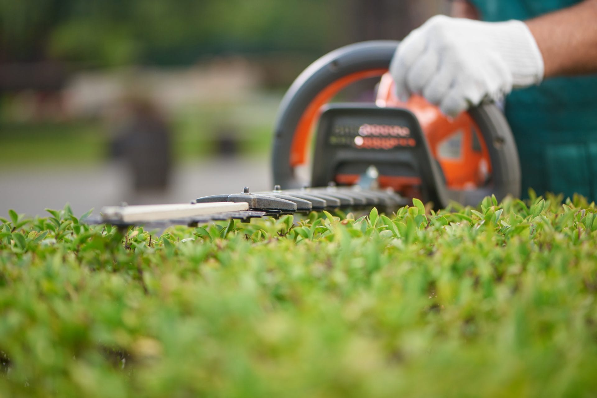 Landscapers Oahu