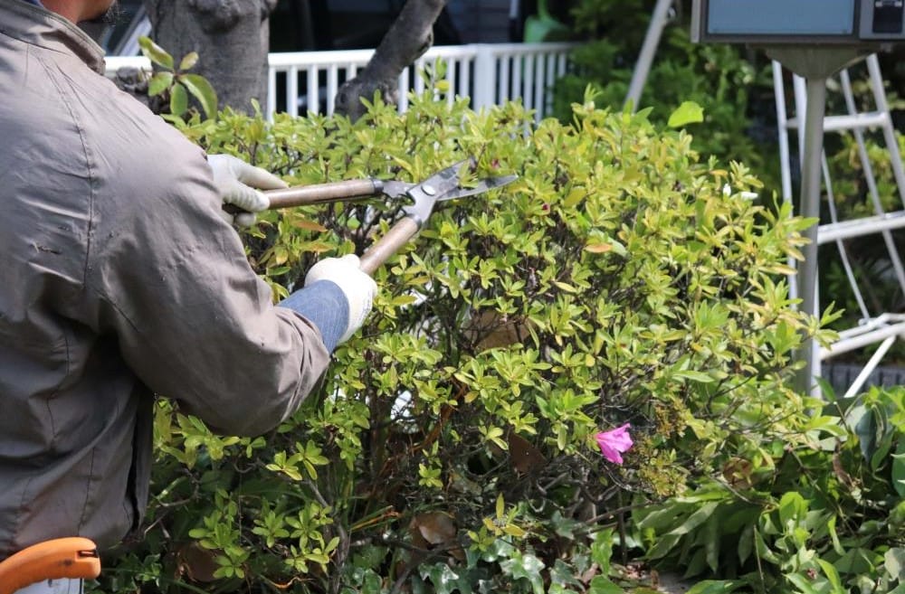 Landscape Contractors Honolulu HI