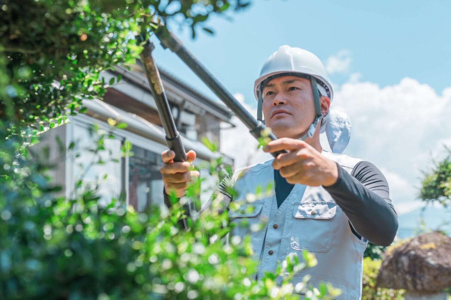 Landscape Contractors Honolulu HI