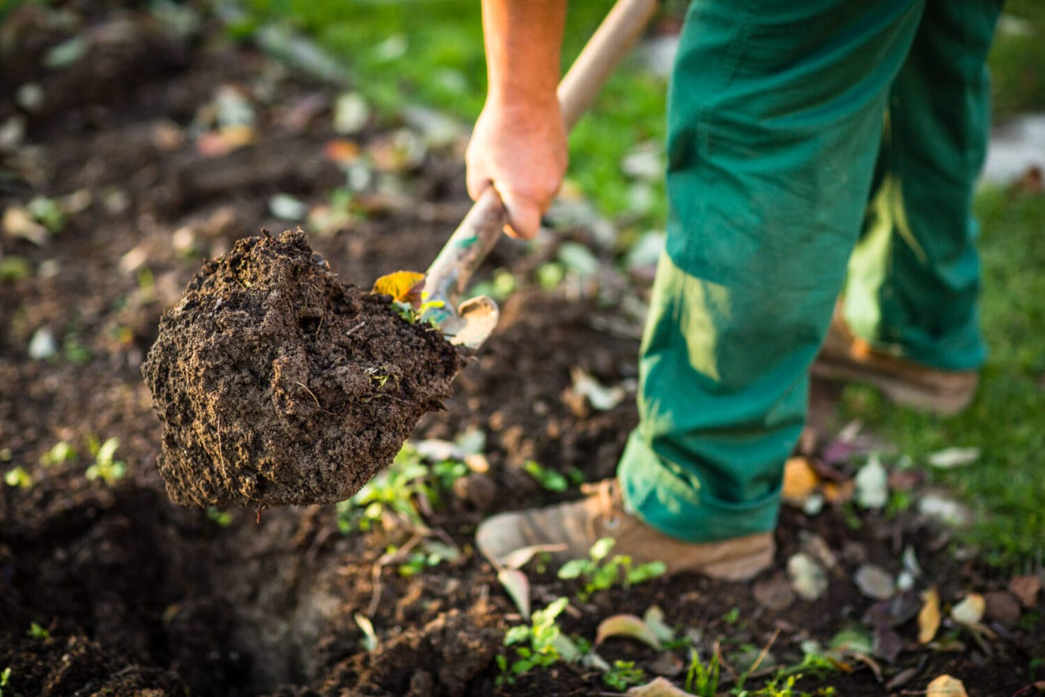 Landscape Contractors Honolulu Hi