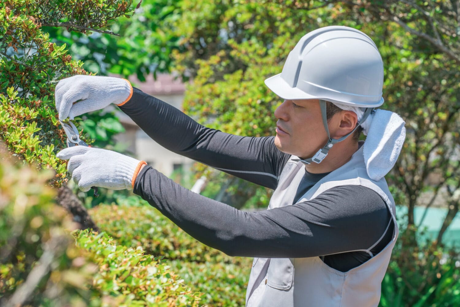 Oahu Landscaping Services